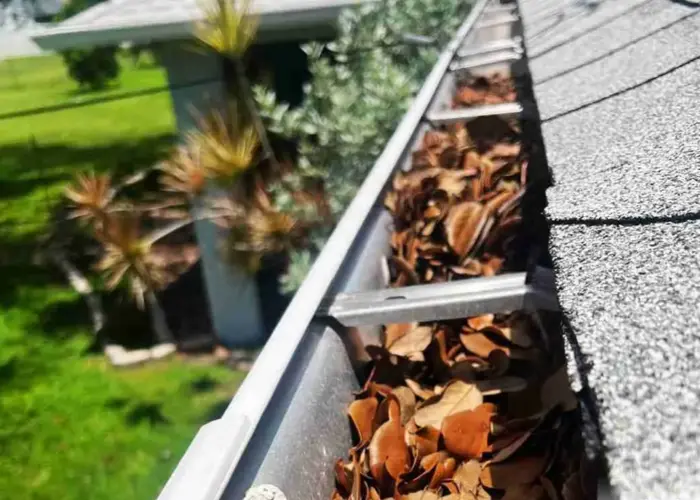 Elbridge gutter cleaning home page